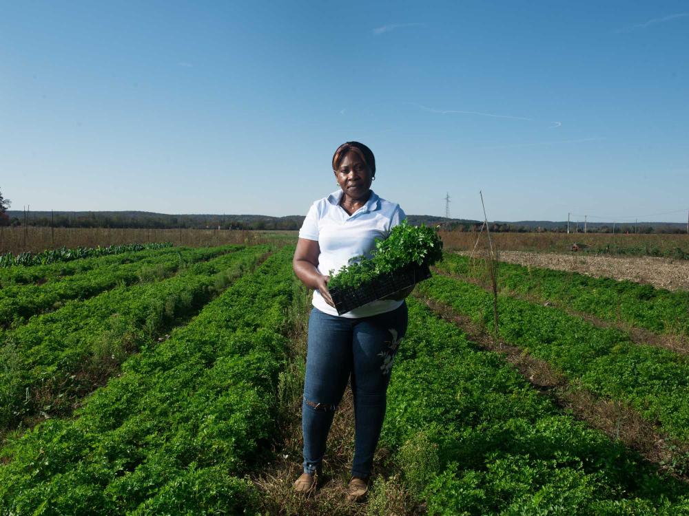 Les points de vente des produits de Luby Marianne née Ngo Bama à Vic-en-Bigorre 2