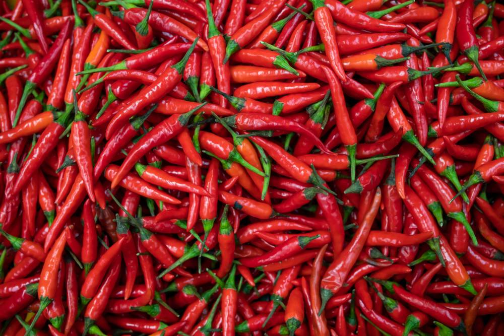 Piment